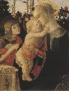 Sandro Botticelli Madonna of the Rose Garden or Madonna and Child with St john the Baptist (mk36) oil painting picture wholesale
